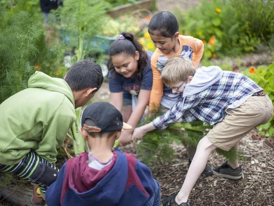 Garden to Table