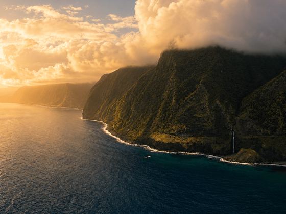 Island Futures