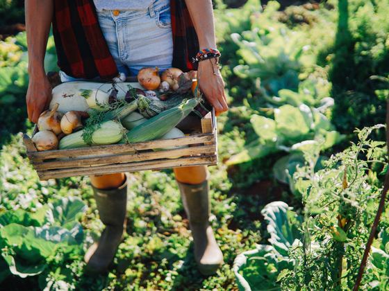 Organics Aotearoa
