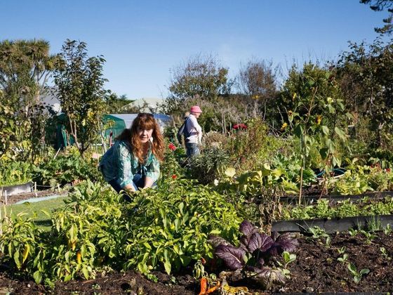 Richmond Community Garden Trust