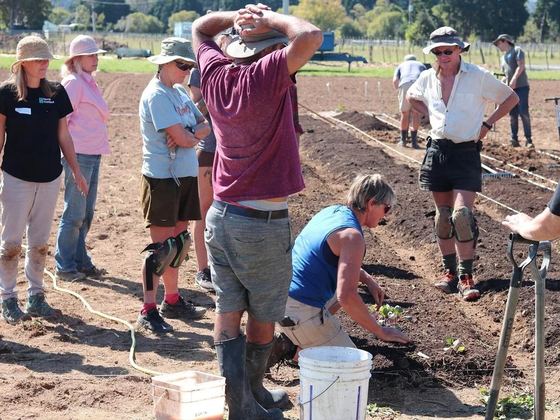 Soil Sage Collective