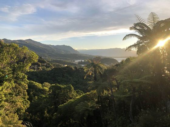 Te Tauihu Environment Trust
