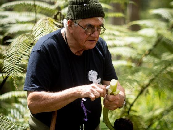 Tiwaiwaka Collective Incorporated