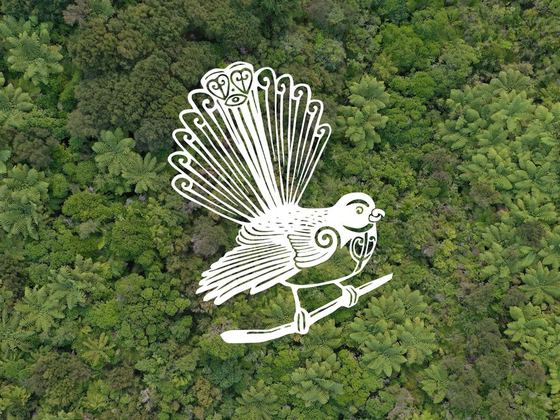 Tiwaiwaka