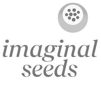 Imaginal Seeds