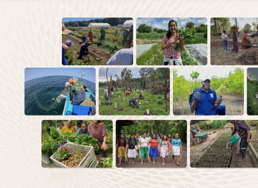 Projects funded through Ma Earth