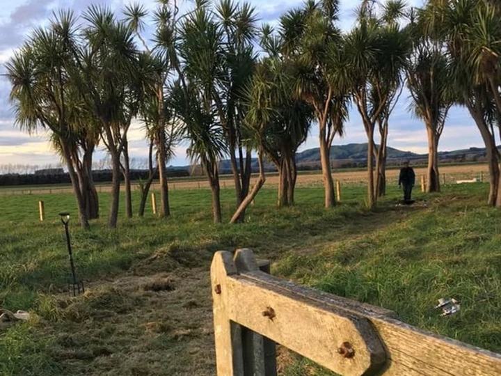 Ruamāhanga Farm Foundation