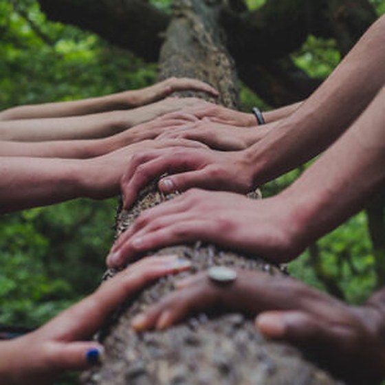 The Gift Trust